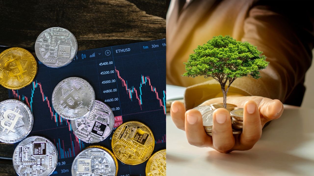 State Bank PPF Scheme: Invest ₹50,000 Every Year and Get ₹13.5 Lakh Return After 15 Years