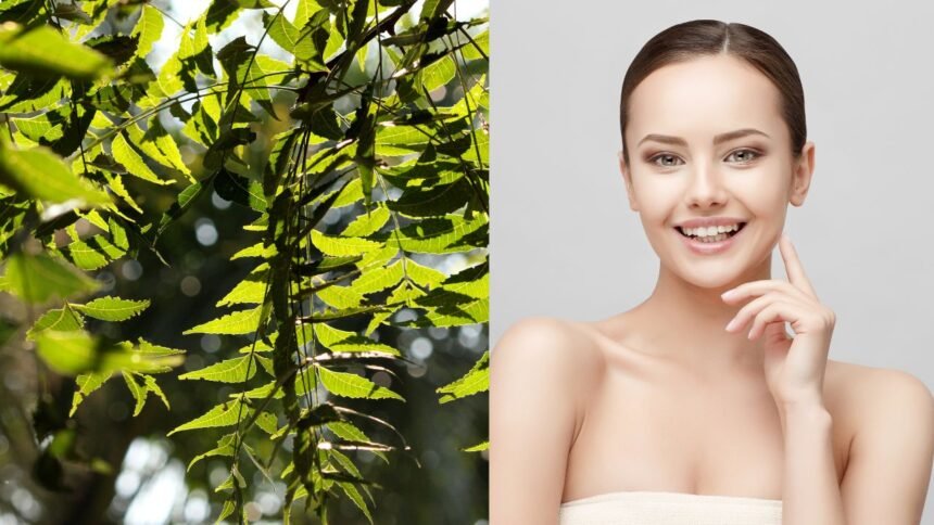 Clear Your Skin Naturally: Make This Simple Neem Face Pack at Home for Pimples, Itching, and Dark Spots